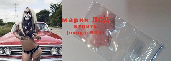 mix Инта