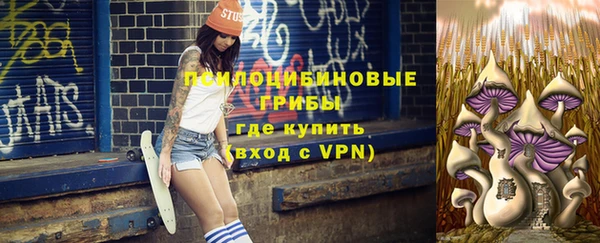 СК Сафоново