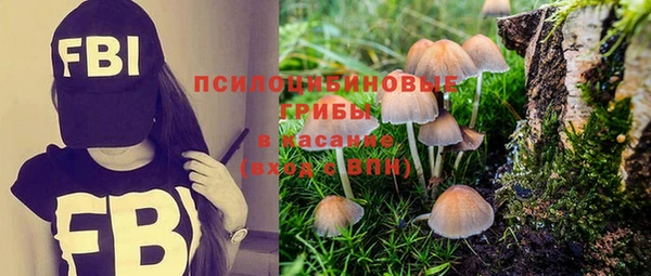 синтетический гашиш Саяногорск