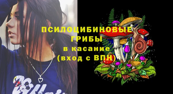 ПСИЛОЦИБИНОВЫЕ ГРИБЫ Новосибирск