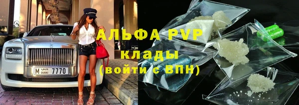 СК Сафоново
