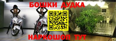 ПСИЛОЦИБИНОВЫЕ ГРИБЫ Гатчина