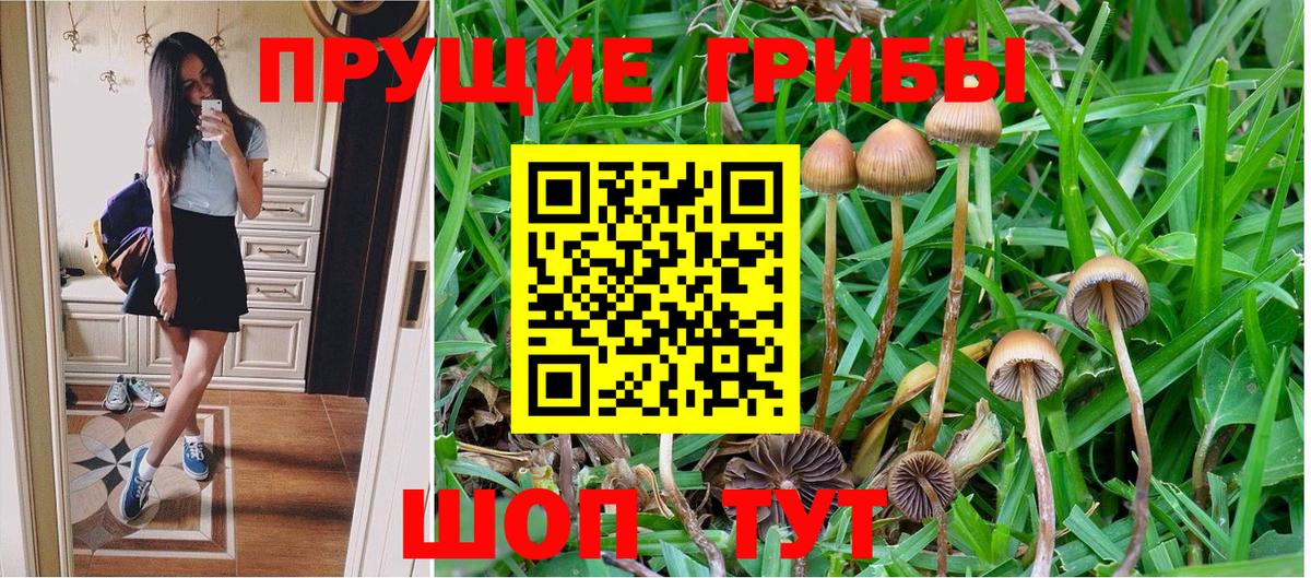 Псилоцибиновые грибы Magic Shrooms Сосновоборск
